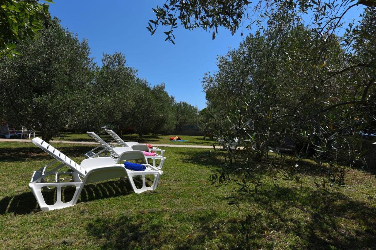 Apartments Bibinje By The Beach Extérieur photo