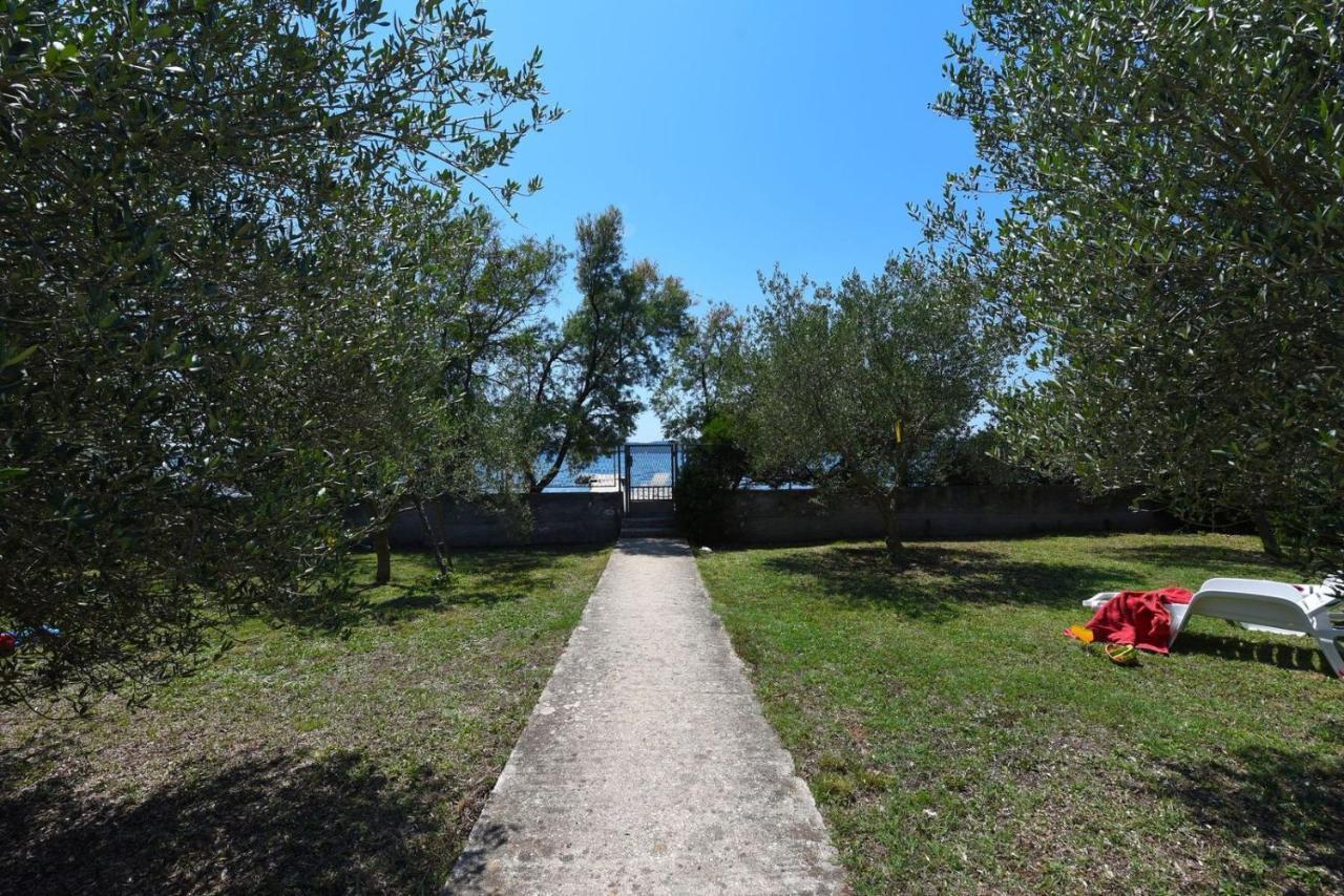 Apartments Bibinje By The Beach Extérieur photo